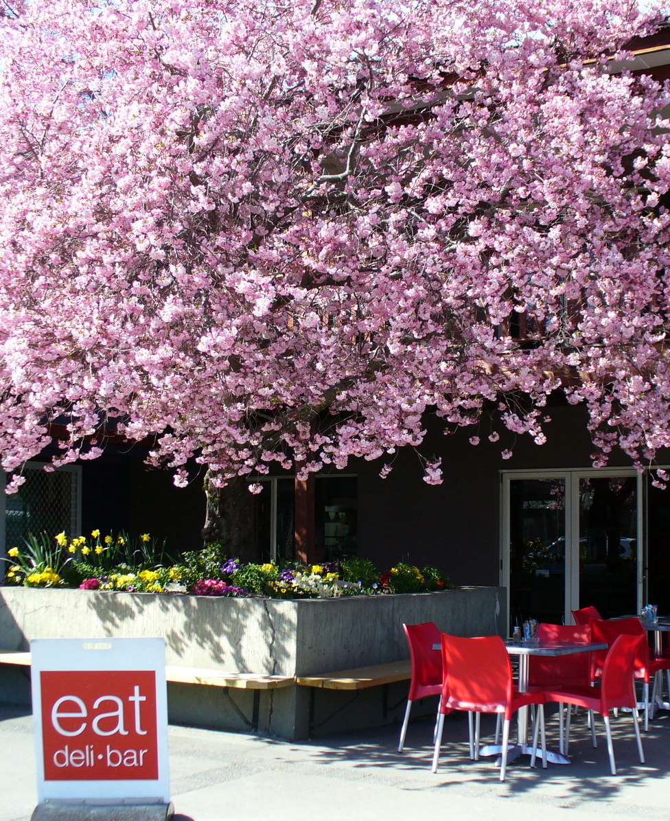 Picture of eat deli & bar